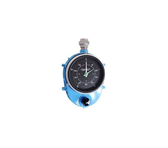 E+H LT5 Float Level Gauge
